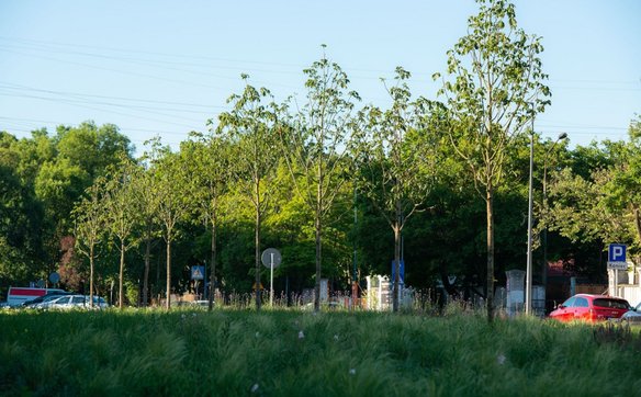 Zmiany na ul. Ordona