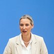 Współprzewodnicząca AFD Alice Weidel