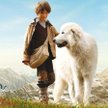 Barbara Hollender poleca nowości DVD