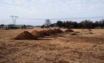 RPA: Półtora miliona grobów dla ofiar koronawirusa? Minister się tłumaczy