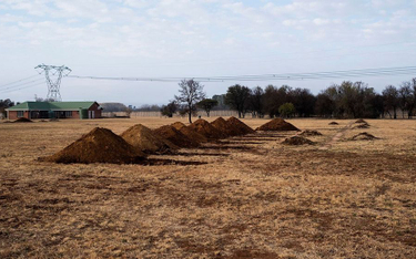 RPA: Półtora miliona grobów dla ofiar koronawirusa? Minister się tłumaczy