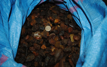 Prawie 20 kilogramów bursztynu wykryly służby celno-skarbowe w aucie Ukraińca na granicy w Korczowej