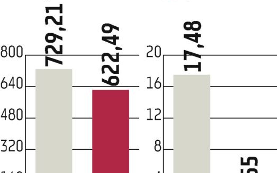 Konsorcjum Stali płaci za ryzyko