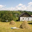 Polskie prawo znów pod lupą