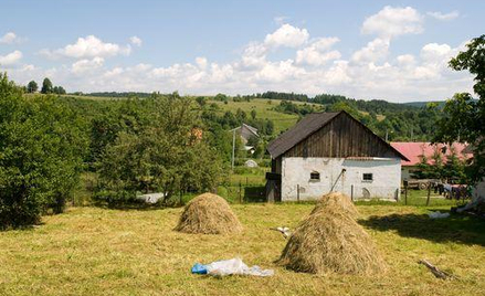 Polskie prawo znów pod lupą