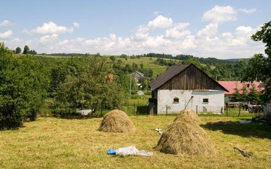 Polskie prawo znów pod lupą