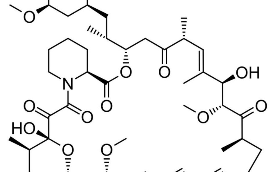 Rapamycynę uzyskano z bakterii występujących na Wyspie Wielkanocnej