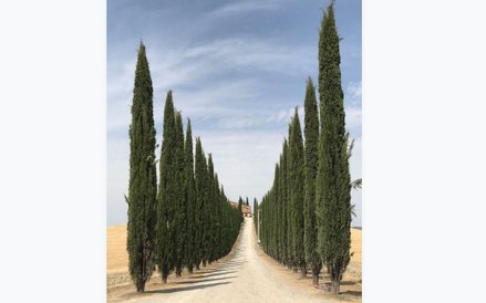 1. miejsce: Lidia Muntean