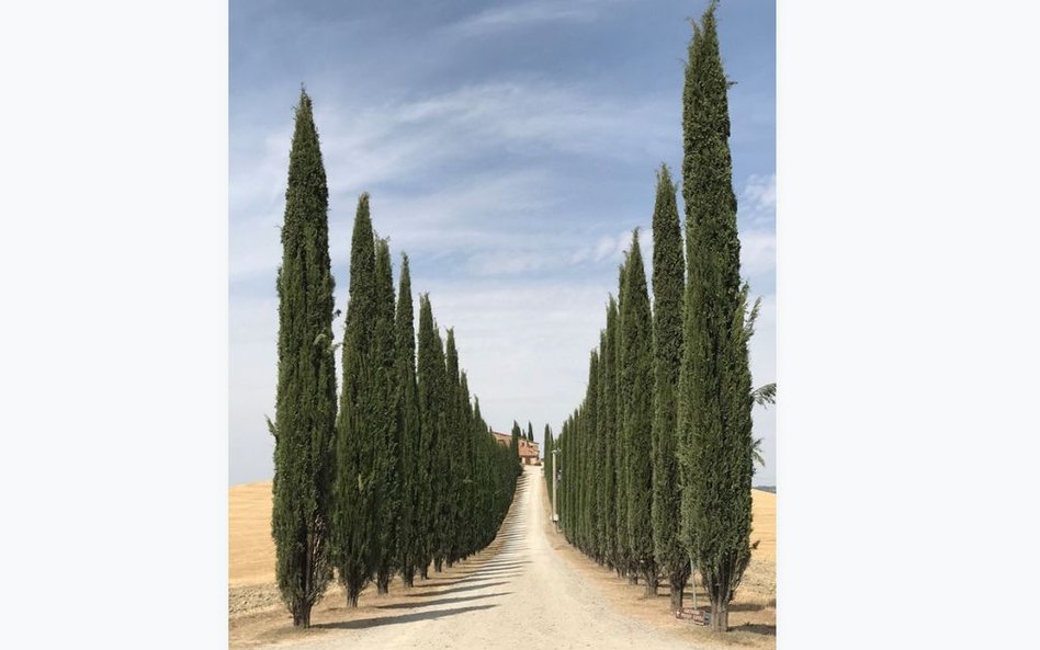 1. miejsce: Lidia Muntean