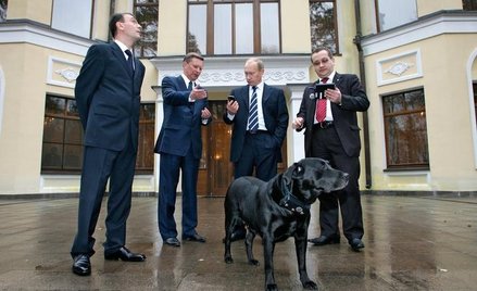 Pierwszy pies widoczny z kosmosu