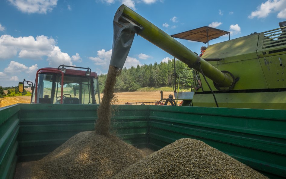 UE chce ograniczyć import ziarna z Rosji i Białorusi