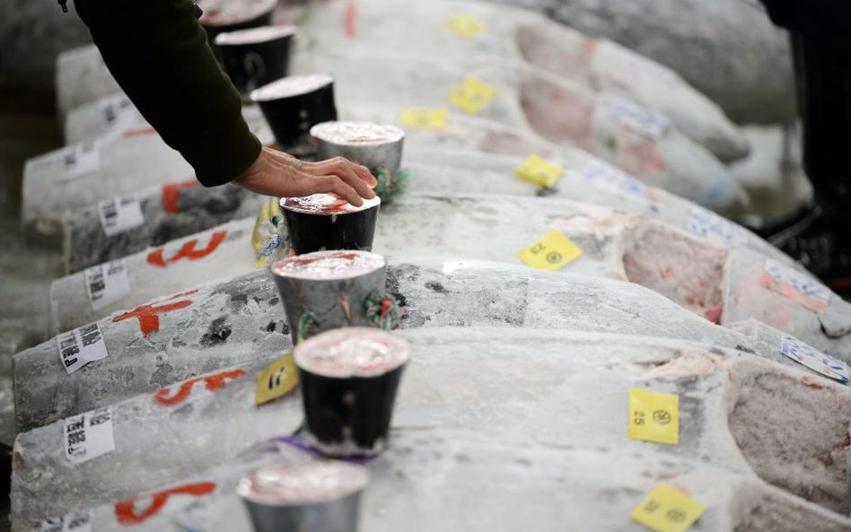 Pierwsza aukcja tuńczyna w 2018 roku na rynku Tsukiji