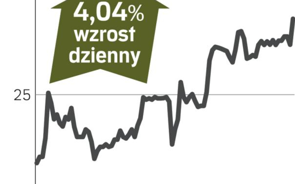 Ożywienie kursu Apatora po podniesieniu prognozy zysku