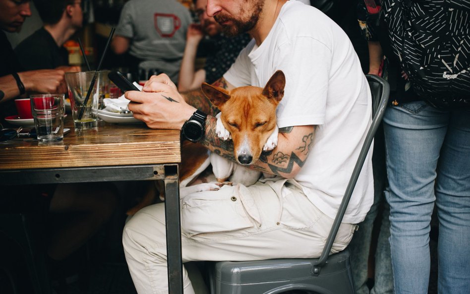 Z psem do restauracji? Jest stanowisko sanepidu