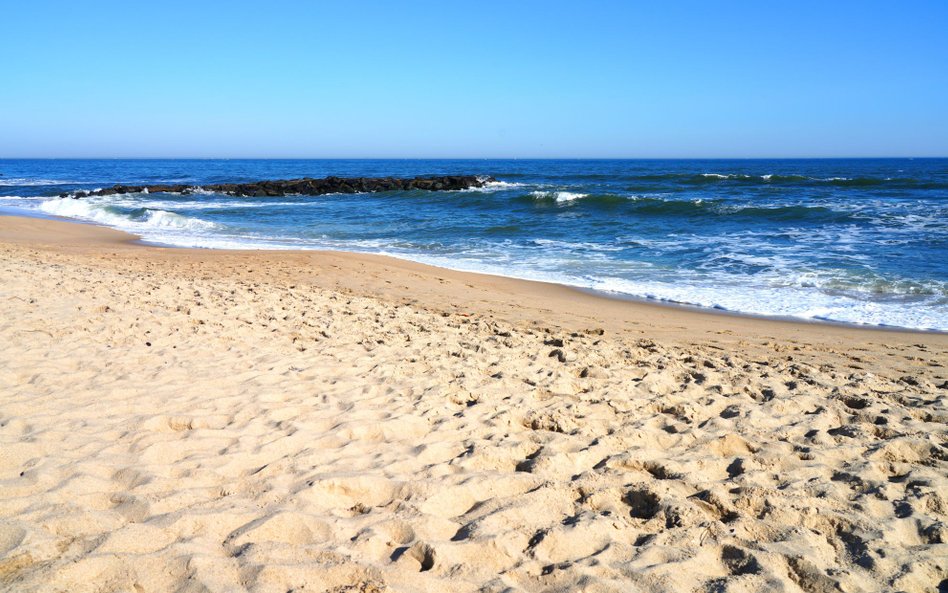 Do wypadku doszło na plaży w New Jersey