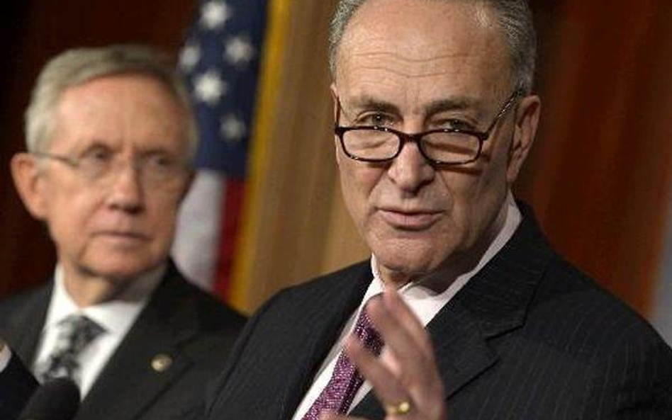 Senator Charles Schumer chce zmobilizować Polonię