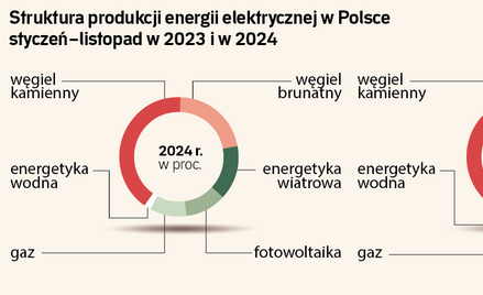 Czy w 2025 roku Polska będzie mieć problem z produkcją prądu?