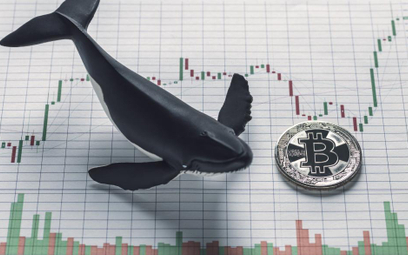 Czy wieloryby wstrząsną bitcoinem?