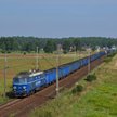 Ogromne zwolnienia w PKP Cargo. Pracę stracą tysiące osób