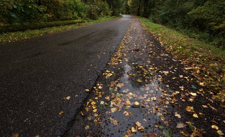 W najbliższych dniach towarzyszyć nam będzie typowo jesienna aura