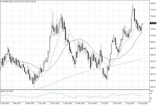 Notowania pszenicy w USA – dane dzienne
