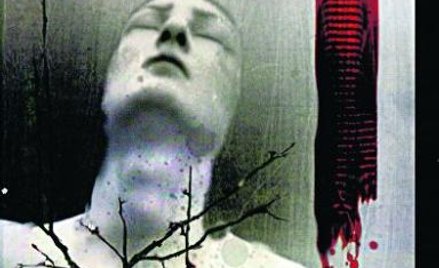 Powieść Mankella bez Wallandera