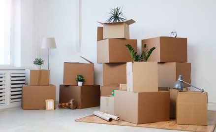 Przeprowadzka z Korei w kosztach polskiej firmy