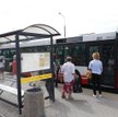 Przewoźnik ma dbać o własne, a nie miejskie, interesy - wyrok WSA