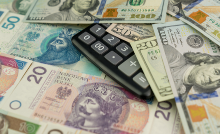 WSA: Amerykański sales tax może być kosztem podatkowym w Polsce