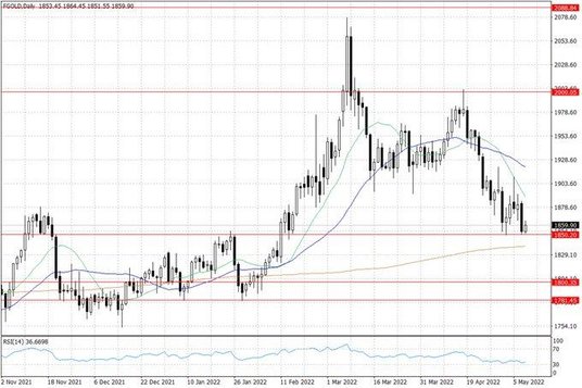 Notowania złota – dane dzienne
