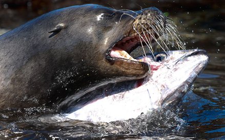 „Błękitna Planeta II”, odcinek 6