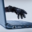 Wyłudzenia podatków w internecie - z roku na rok coraz ich więcej