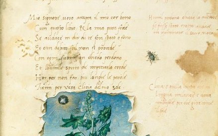 Francesco Binasco (?), "Rozdarty pergamin z widokiem na kwitnący kwiat" (ilustracja z poematu Gaspar