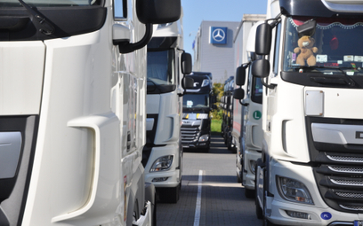 Importerzy samochodów ciężarowych zamknęli rekordowy rok