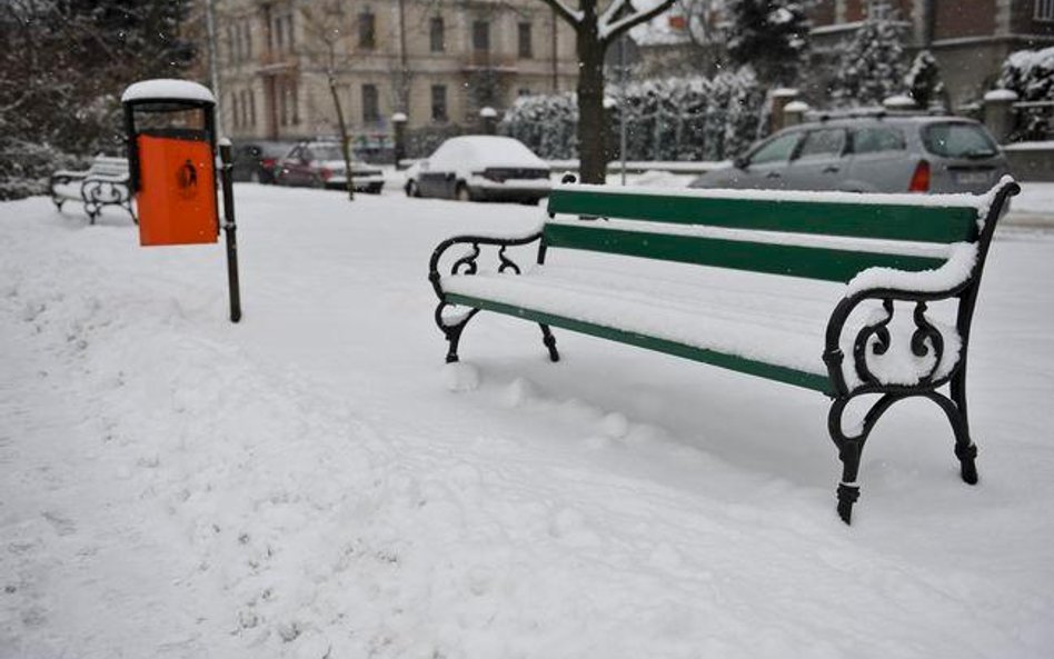 Kto powinien płacić za publiczne śmietniki