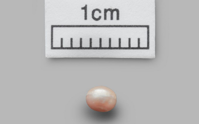 Najstarsza perła świata znaleziona w ZEA. Ma 8 tysięcy lat