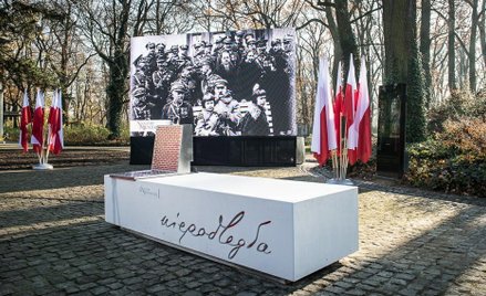 Sondaż: Kto popiera budowę Ławek Niepodległości