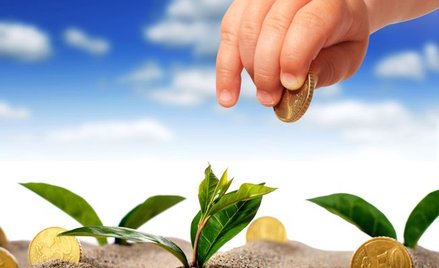 Rodzina 500+ to więcej dzieci i pracy, ale bardzo wysokim kosztem