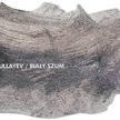 Wystawa "Biały Szum"