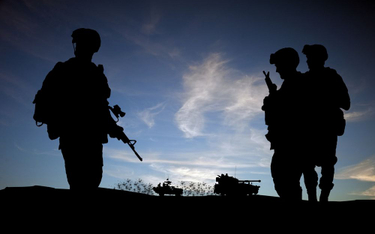 Brytyjski wiceminister obrony: Armia potrzebuje podwyżek
