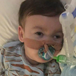 Sprawa Alfiego Evansa. Szpital wydał ponad 145 tys. funtów na prawników