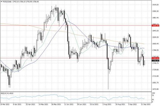 Notowania złota – dane dzienne