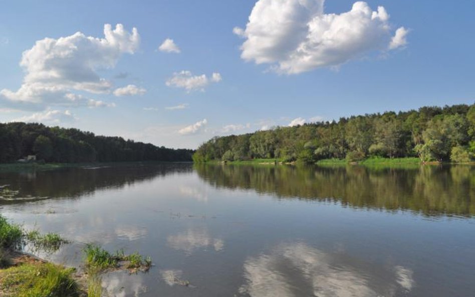 Mazowsze to nie tylko Warszawa, to także przyroda