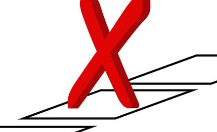 Prof. Banaszak o wyborach: JOW – czy jest się o co bić