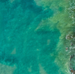 Zmiany klimatu wpłyną na kolor oceanów