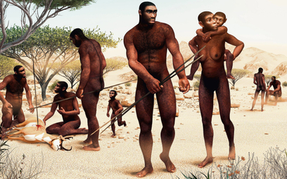 Afrykański Homo erectus dojrzewał później niż australopitek czy współczesne szympansy, chociaż prawd