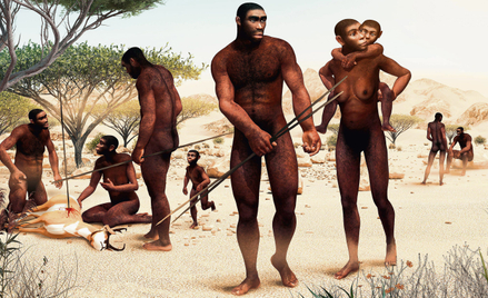 Afrykański Homo erectus dojrzewał później niż australopitek czy współczesne szympansy, chociaż prawd