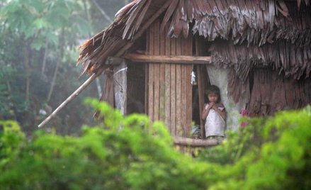 TNK-BP kupił złoża w Brazylii
