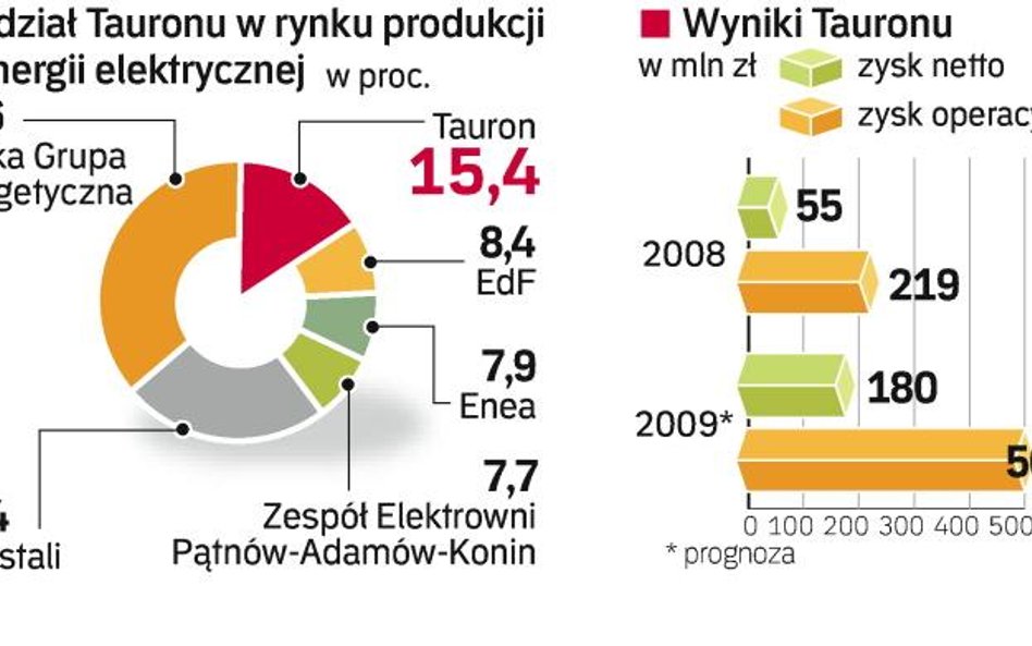 Pozycja rynkowa tauronu. Inwestorzy kupią w przyszłym roku akcje spółki za 6 – 8 mld zł. Część kwoty