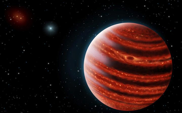 „Młody Jowisz” – 51 Eridani b – znajduje się 100 lat świetlnych od nas. Astronomowie podglądają form